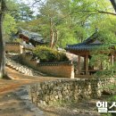 담양오방길1코스(수목길) 이미지