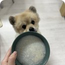 미음펫푸드 이미지