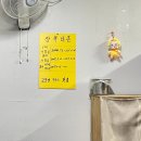 [거제도 맛집] 부산 가기 전 필수! SNS 핫플 비촌치킨 얼큰이 날개 다리 내돈내산 솔직후기