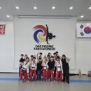 일루스터