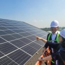 254태양광발전소 이미지