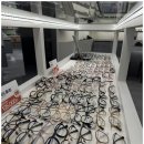 참편안안경 이미지