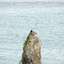 동해시-06 이미지