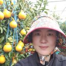 제주댁 농장 이미지