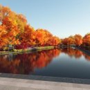 화곡2동주민센터 이미지