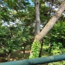 [상떼힐 익산cc] 라운딩 후기 코스 둘러보기 ~