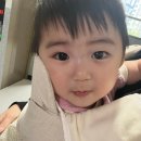 발할라헤어 네이버블로그