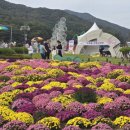 제27회 포천 산정호수 명성산 억새꽃 축제 이미지
