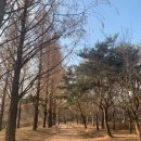 12월13일 일) 서울숲 ~ 남산길 이미지