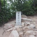 인천 중구 무의도 Daum카페