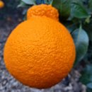 길자농장 이미지