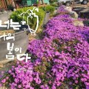나들이농장 Daum카페