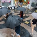 선재태양광발전소 이미지