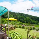 해뜨는펜션 이미지