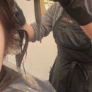 포도젤리 펫살롱 | 범계 역 미용실 레이어드컷 잘하는 오유즈 젤리펌 후기