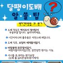 나성동_모닝시티오피스텔 이미지