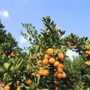 용달농장 이미지