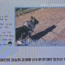 한강켄넬 이미지