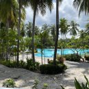 야자수당구장 이미지