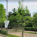 중심지공인중개사사무소 이미지