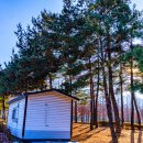 겨울나그네 이미지