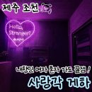 [문화여행] 제주 나 혼자 간다 | 사랑각 게하 내돈내산, 내향인 여자 혼자 방문한 소규모 포틀럭 파티