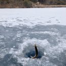 월정포인트 이미지