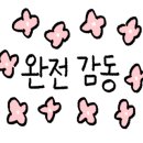 BB 헤어아떼
