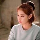 도쿠애견미용학원 - 성동구 무학로2길 50 | 도쿠애견미용학원