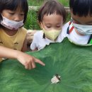 북청물장수 이미지