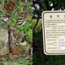 세도자원 이미지