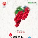 명전계곡 이미지