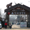 정다운매점주 | 미사리 가야캠핑장 후기 - 봄을 알리는 캠핑에서.... ^^
