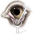 이로동물의료센터 이미지