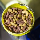 퀸트레이딩 이미지