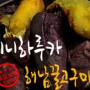 베니앤 이미지