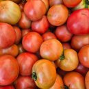 호윤농장 이미지