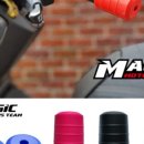 금천 관악 이륜자동차 매직모터스 이미지