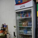 남면주유소 | 동반 가능 캠핑장 &#39;파인트리 캠핑장&#39; 가을 캠핑 후기 (10월 말 캠핑 여행 / 내돈내산 후기 / 애견동반여행)