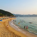 씨유울산진하해변점 | 진하해수욕장, 울산 여름여행의 모든 것!