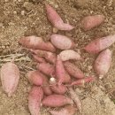 연원농장 이미지