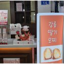 강릉딸기랑 네이버블로그