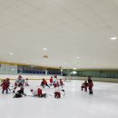 꿈나무스포츠센터 이미지