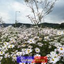 산외면사무소 이미지