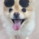 경희빨래방 이미지