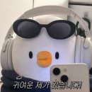 작은동물원 이미지