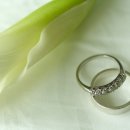 레몬테라스 이미지