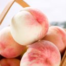 달콤한 푸른농장 이미지