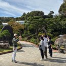 씨유 세종1번국도점 | 세종 여행, 가볼 만한 곳 “베어트리파크“ feat. 단풍 축제, 입장료, 할인, 주차, 데이트코스