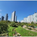 호매실서희부동산공인중개사사무소 이미지